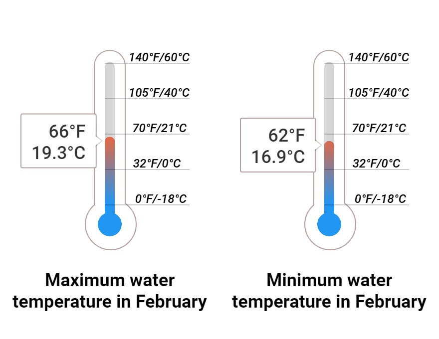 Average Sea temperature